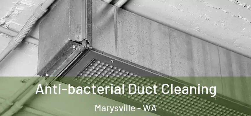  Anti-bacterial Duct Cleaning Marysville - WA