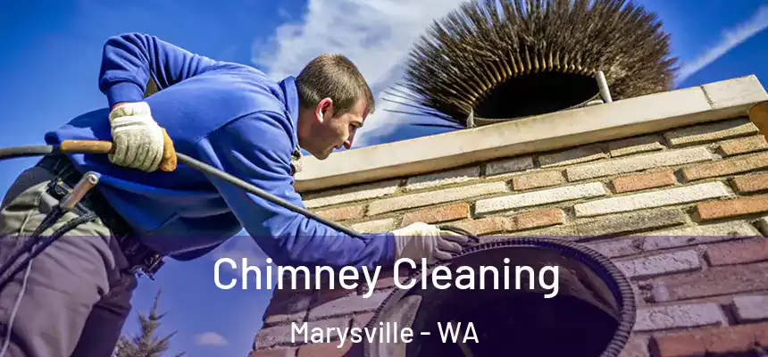  Chimney Cleaning Marysville - WA
