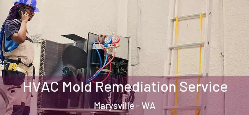  HVAC Mold Remediation Service Marysville - WA