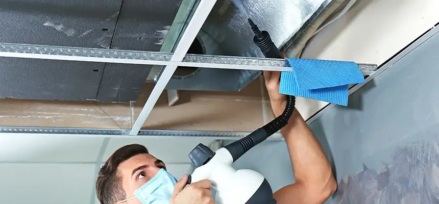 Our Air Duct Rodent Removal Services in Marysville, WA