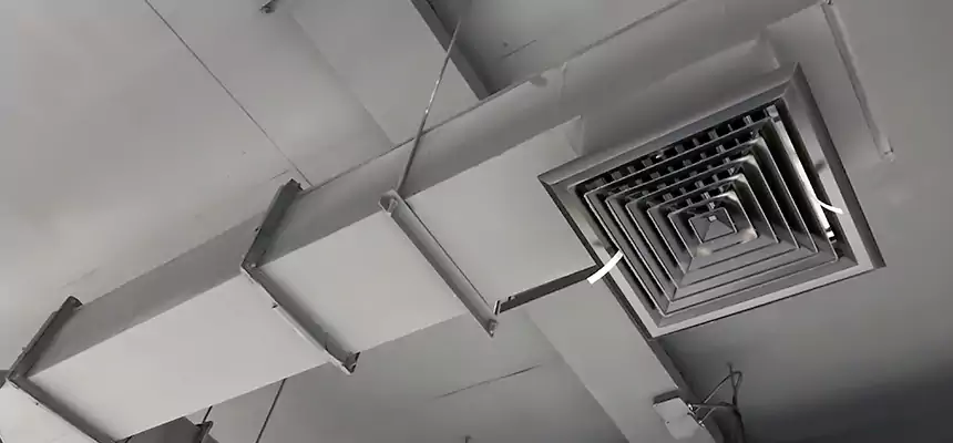 Our Rodent Droppings In Vents Services in Marysville, WA