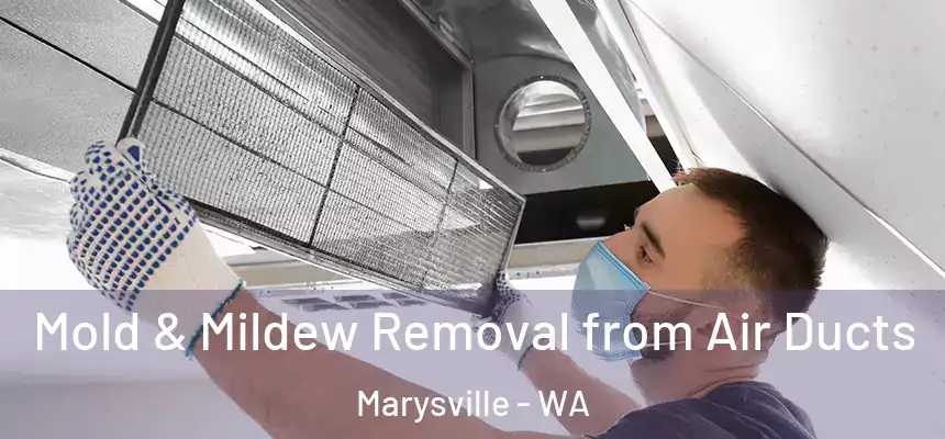  Mold & Mildew Removal from Air Ducts Marysville - WA
