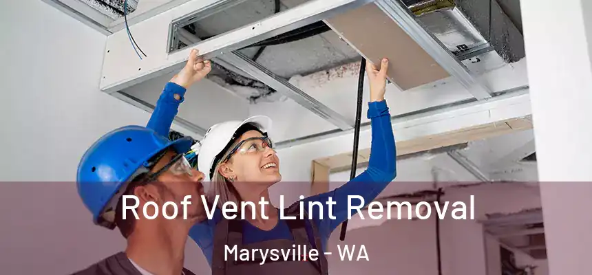  Roof Vent Lint Removal Marysville - WA