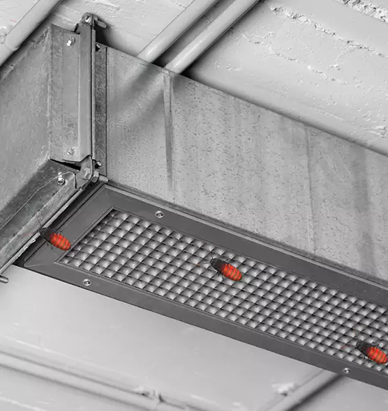 About Air Duct Cockroach Removal in Marysville, WA