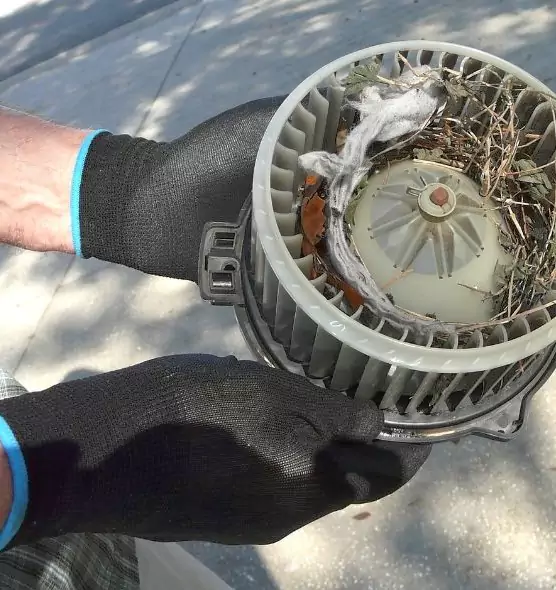 About Air Duct Rat Removal in Marysville, WA