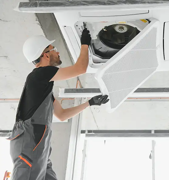 About Air Duct Rodent Removal in Marysville, WA