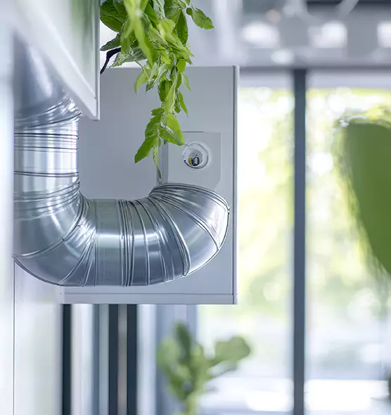 Professional Eco-Friendly Duct Cleaning Services in Marysville, WA