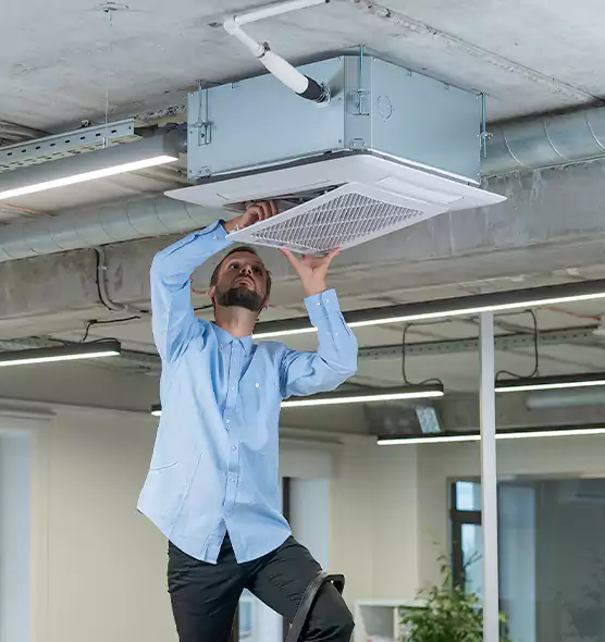 Advanced Rodent Droppings In Vents in Marysville, WA