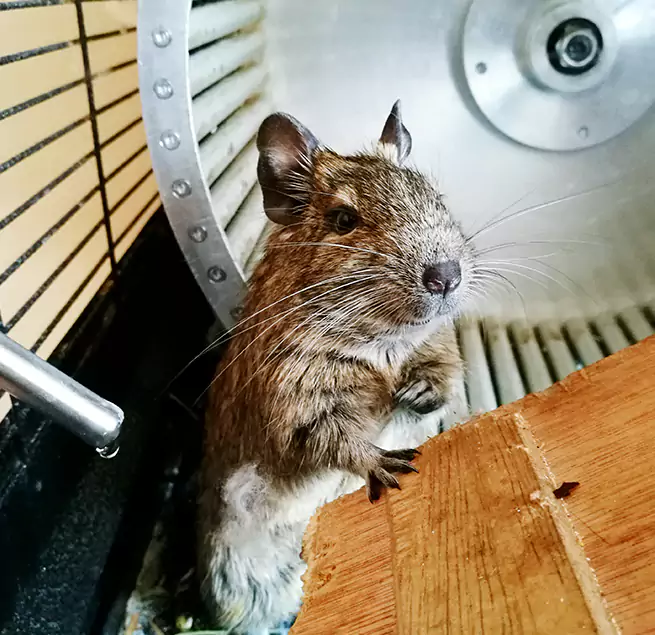 Why Homeowners & Businesses Trust Us Marysville, WA?