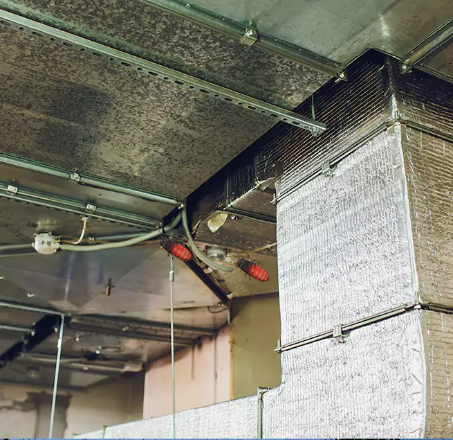 Why Homeowners & Businesses Trust Us Marysville, WA?